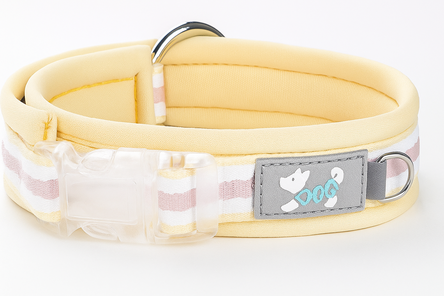 Golden sunrise dog collar on white background
