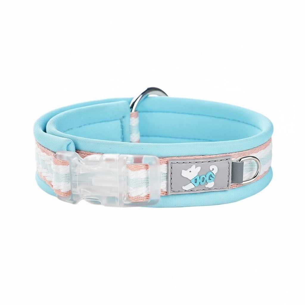 Light blue dog collar with a patterned band and brand logo on a white background