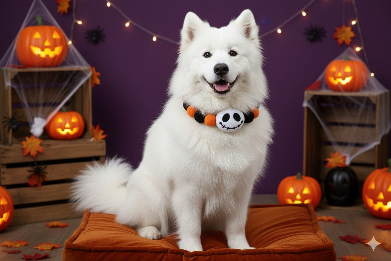 Pet wearing skeleton Halloween neck cuddle