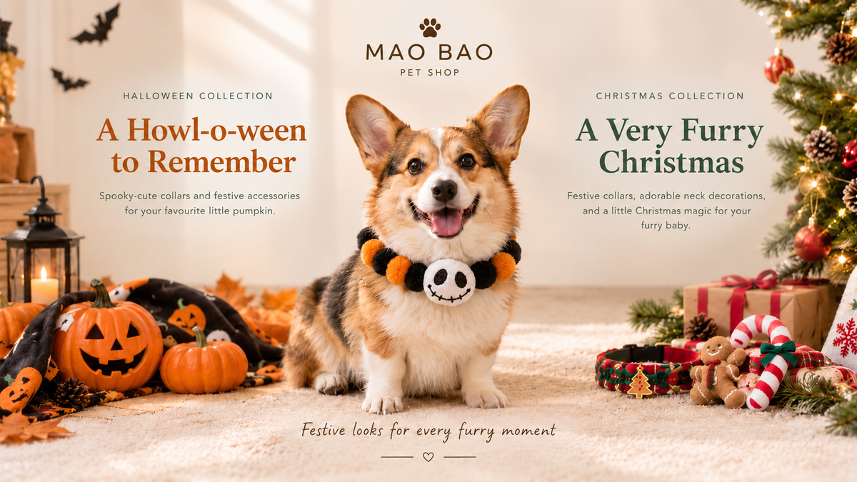 A corgi dog sits in a decorated holiday home scene wearing a black and orange Halloween collar with a skull detail. The scene includes pumpkins, a Christmas tree, ornaments, and gifts, with text banners for 'Mao Bao Pet Shop' showing Halloween and Christmas collections.